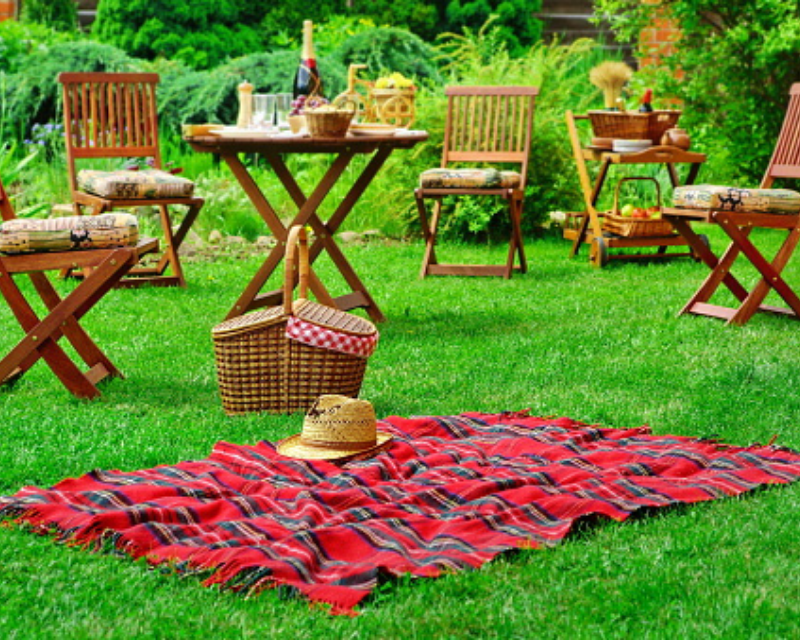 Grow a party-worthy lawn
