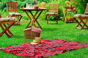 Grow a Party-Worthy Lawn