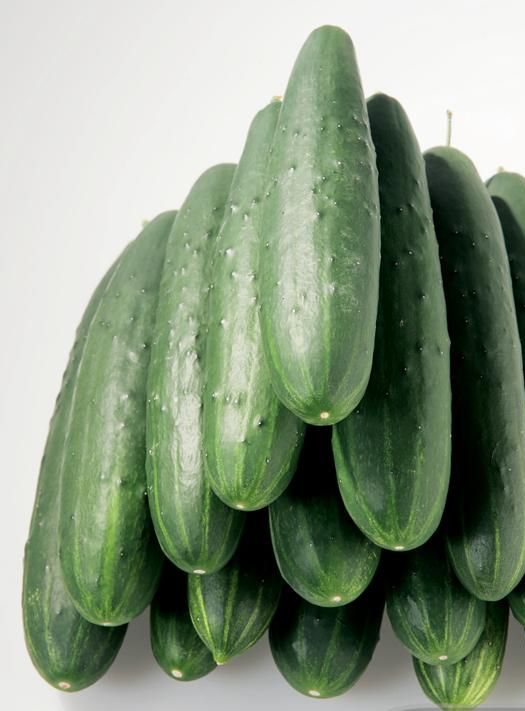 Cucumber Burpless Garden Seeds Yates Australia