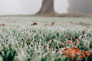 Top Tips For Winter Lawn Care 