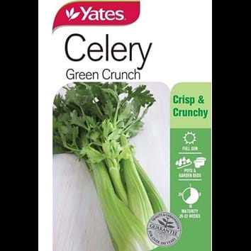 celery-green-crunch