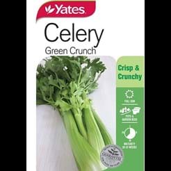 Celery Green Crunch