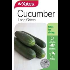 Cucumber Long Green
