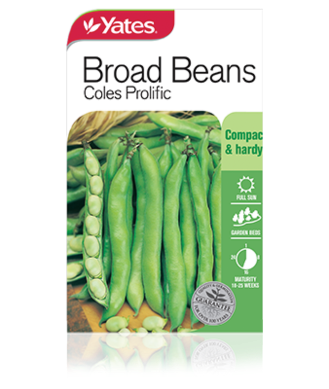 Broad Beans Coles Prolific Garden Seeds Yates Australia