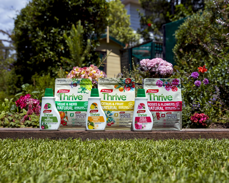 Yates Thrive Natural