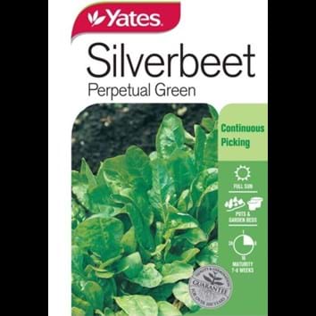 silverbeet-perpetual-green
