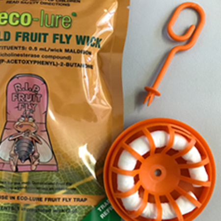 Eco Lure Male Qld Fruit Fly Wick Opened Web Lr (1)