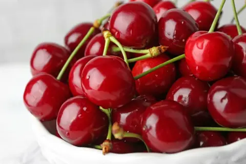 How to Grow Cherries