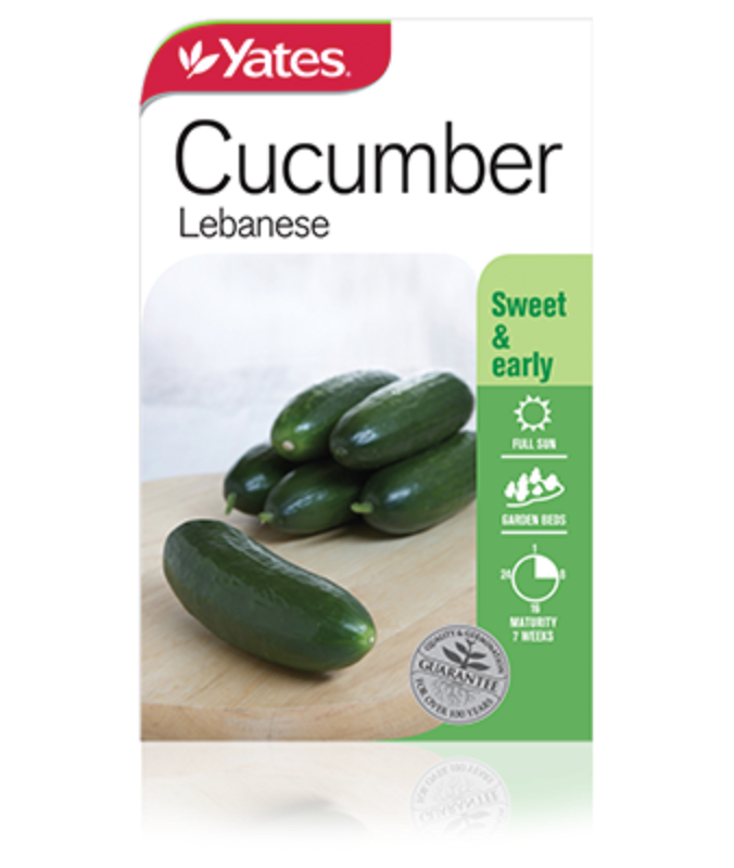 Cucumber Lebanese Garden Seeds Yates Australia