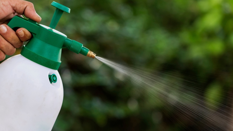 personholding garden sprayer spraying a colourless liquid downwards