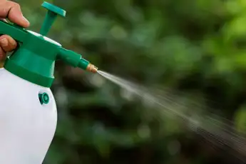 Tips for Using a Garden Sprayer Effectively: Expert Tricks Revealed
