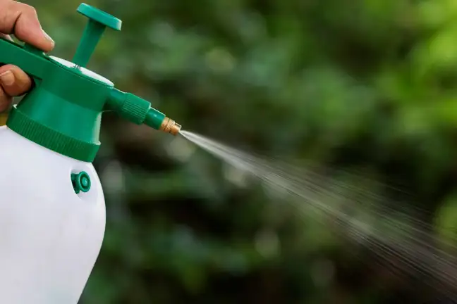 person holding a garden sprayer  spraying colourless liquid downwards