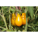 56537_Heirloom Tomato Yellow Pear_Lifestyle2.png (5)