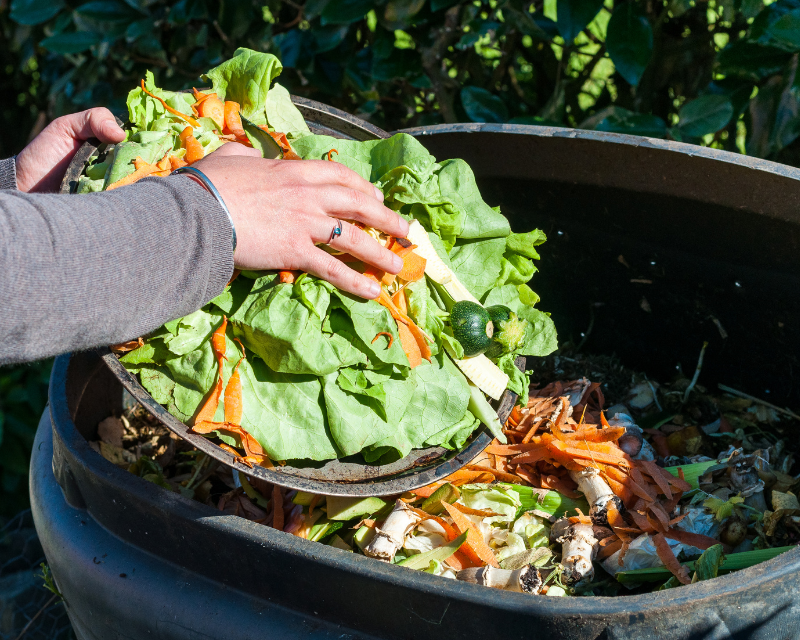 Autumn Organic Gardening