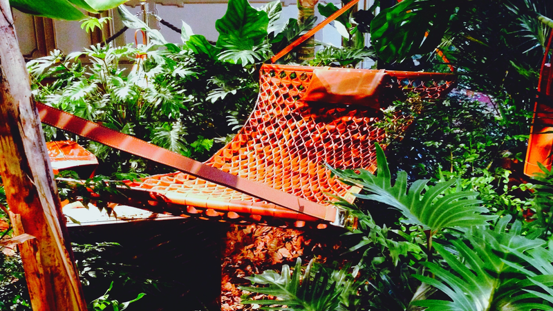 Hammock In Lush Tropical Garden Image