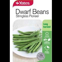 Beans Dwarf Stringless Pioneer