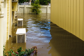 Flood Recovery for Gardens & Lawns