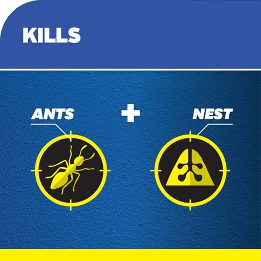 55922_Yates Home Pest Ant & Nest Killer Gel Bait_10g_additional lifestyle1.jpg