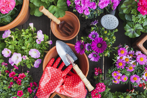 Spring gardening in different climates 