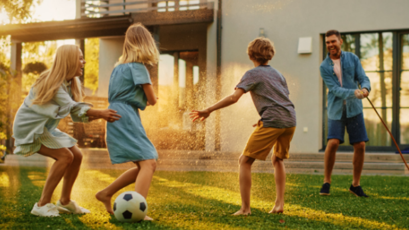 Annual Lawn Care Programs