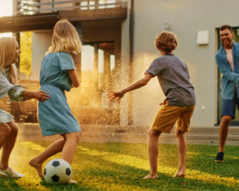 Annual Lawn Care Programs