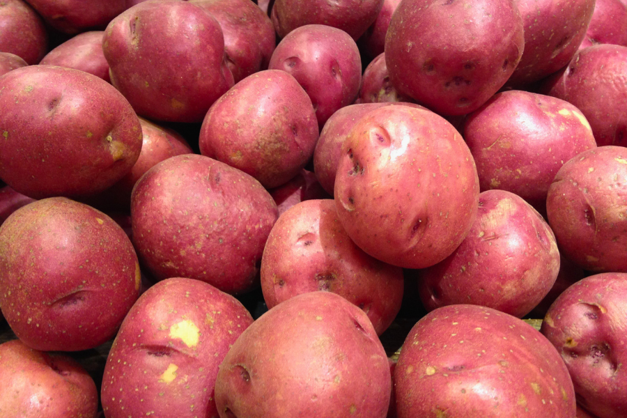 Red Pontiac Potato - pink skin