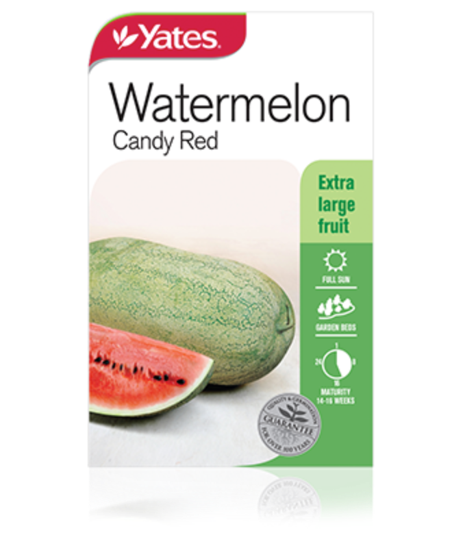 Watermelon Candy Red Garden Seeds Yates Australia