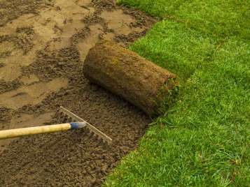 How to Prepare Your Yard for Laying New Turf | Yates