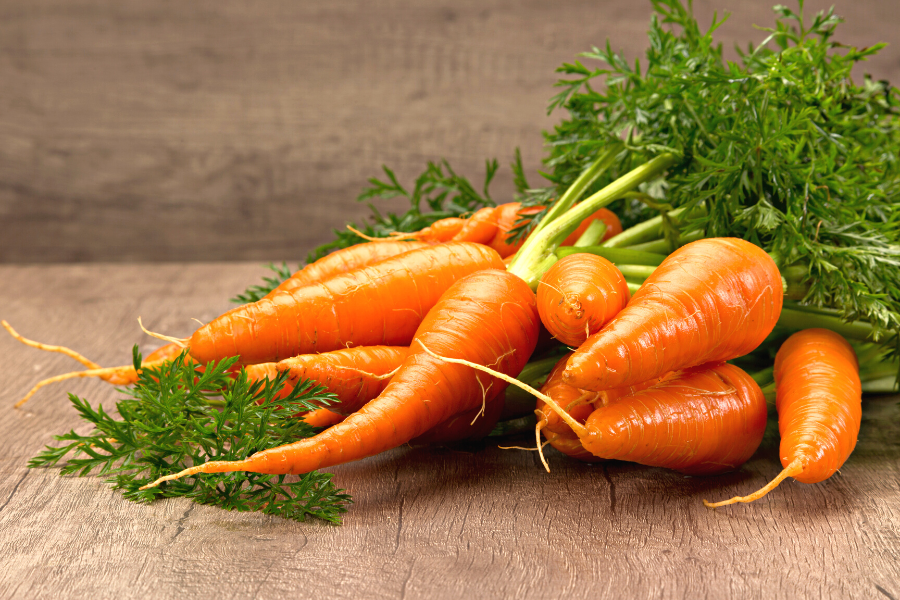 How to Grow Carrots | Yates Australia