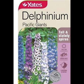 delphinium-pacific-giants