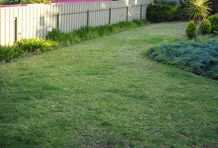 Munns Review Lawn Back Befor
