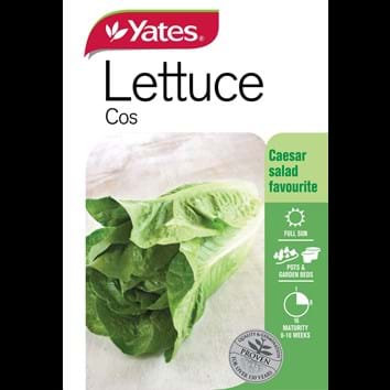 lettuce-cos