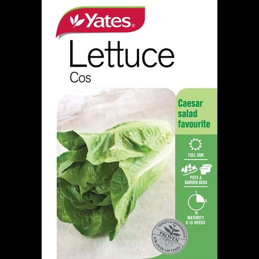 56069_Yates Cos Lettuce_FOP_ckwoh7.jpg (3)