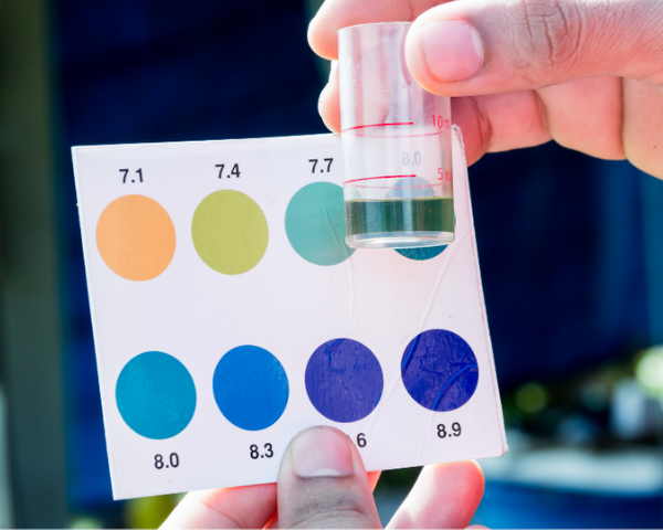 The Importance of soil pH