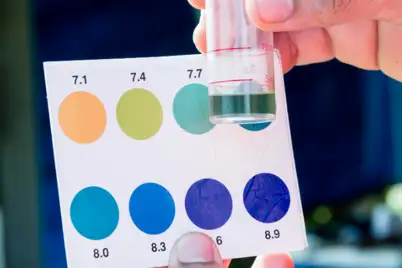 The Importance of soil pH