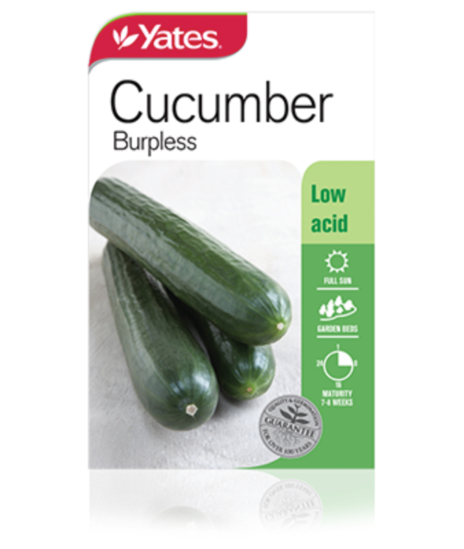 Cucumber Burpless Garden Seeds Yates Australia