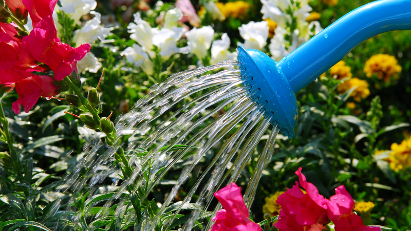 Spraying & Sprinkling