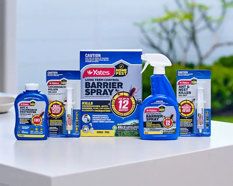 Yates Insect Spray Effectively Control Home Pests In Your Home - Yates Home Pest