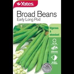 Broad Beans Early Long Pod