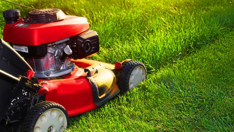 Lawn Mower Mowing Lawn