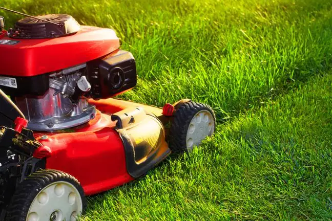 Lawn Mower Mowing Lawn