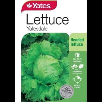 lettuce-yatesdale