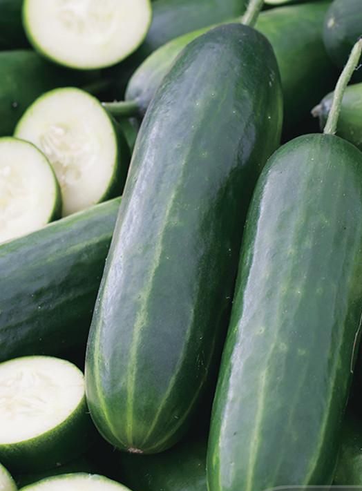 Cucumber Lebanese Garden Seeds Yates Australia