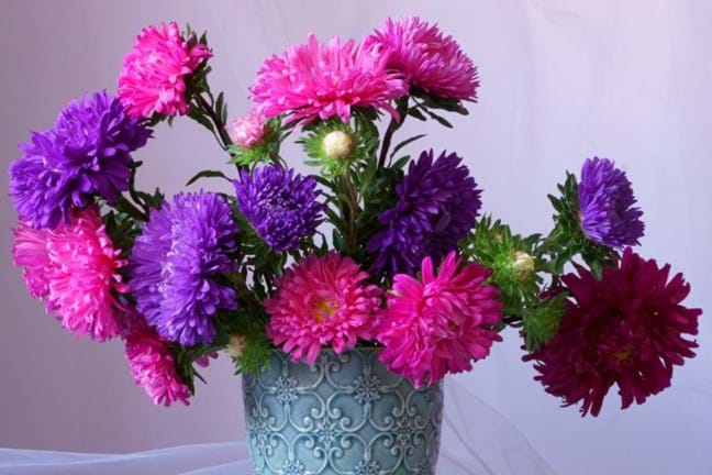 A colourful mix of Aster flowers in a patterned blue vase