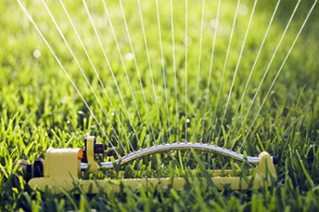 The dos and don’ts of watering your lawn