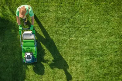 Top Tips Summer Lawn Care