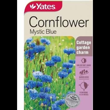 cornflower-mystic-blue