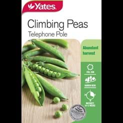 Peas Climbing Telephone Pole