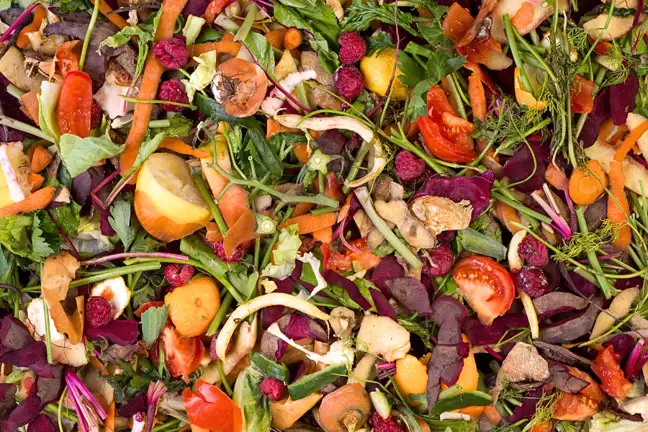 mixture of fruit and veg scraps