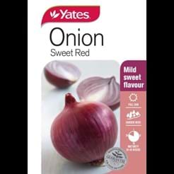 Onion Sweet Red